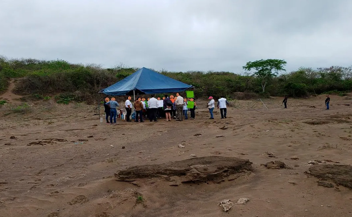 Hallan cinco fosas clandestinas en límites de Oaxaca con Veracruz
